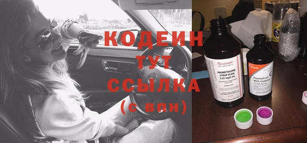 дживик Осинники